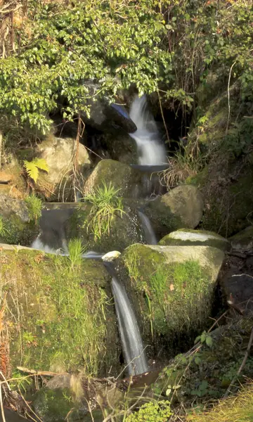 Países Montaña Naturaleza Naturaleza —  Fotos de Stock