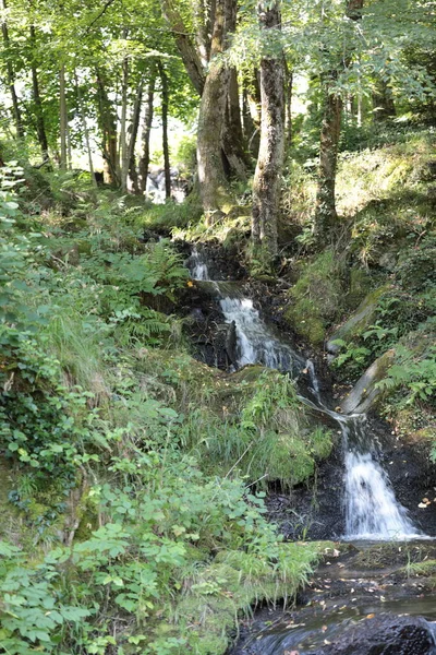 Fiumi Torrenti Paesi Montani — Foto Stock