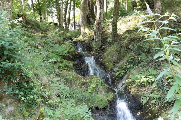 Fiumi Torrenti Paesi Montani — Stock Fotó