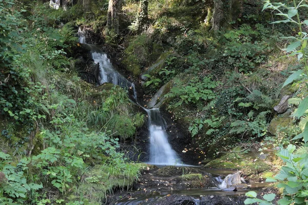 Fiumi Torrenti Paesi Montani — Stock Fotó