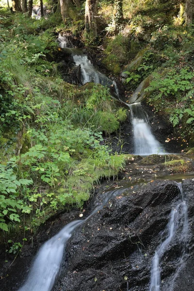 Fiumi Torrenti Paesi Montani — Stockfoto