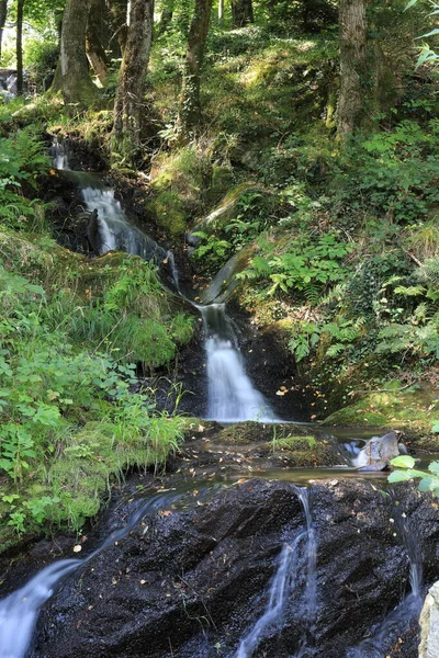 Fiumi Torrenti Paesi Montani — Stockfoto