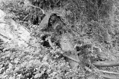 Paesaggi fiumi di montagna piemonte