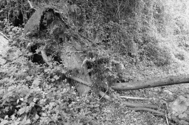 Paesaggi fiumi di montagna piemonte