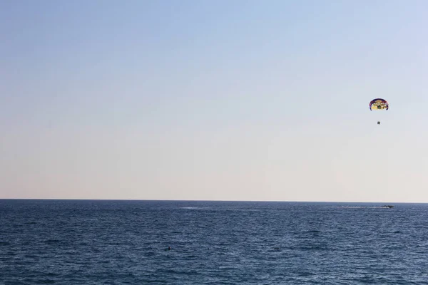 Wandering Seashore Looked Distance Distance Sea Hovered Jumper — Stock Photo, Image