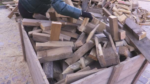 木制容器中的木柴 — 图库视频影像