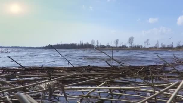 Вид Озеро Вранці — стокове відео