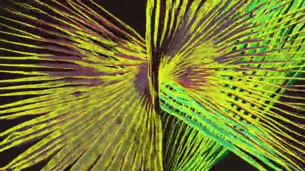 Fond mouvant abstrait en jaune et vert 