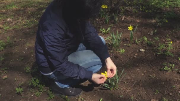 Kobieta Pobliżu Wiosennych Kwiatów — Wideo stockowe