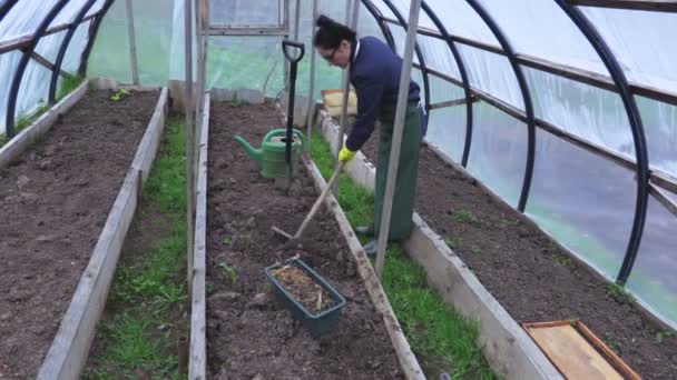 Mujer Jardinero Procesando Suelo Invernadero — Vídeo de stock