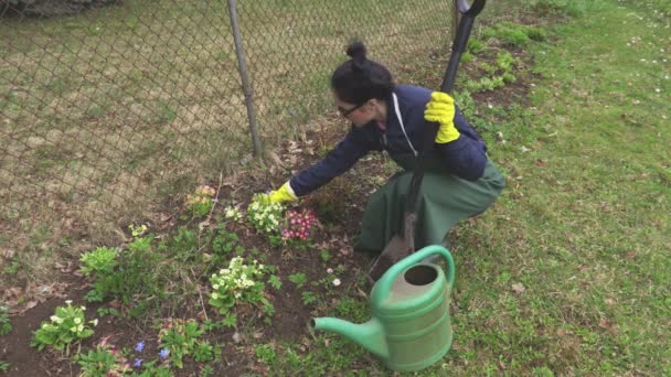 Femme Jardinier Près Des Fleurs — Video