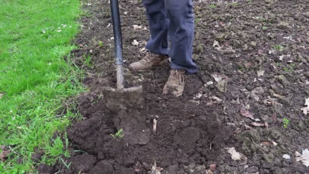 Man Met Schop Bodem Graven Landbouw Tuinieren Concept — Stockvideo