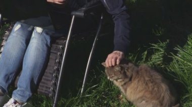 Kadın sandalyede ile laptop ve gri kedi