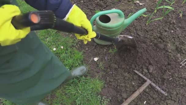 女性は スペードを使用して 庭師のコンセプト — ストック動画