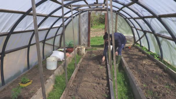 温室的妇女准备土壤 — 图库视频影像