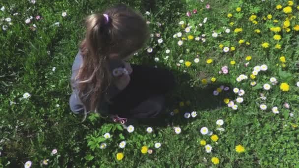 Κοριτσάκι Στη Χλόη Κοντά Λουλούδια — Αρχείο Βίντεο