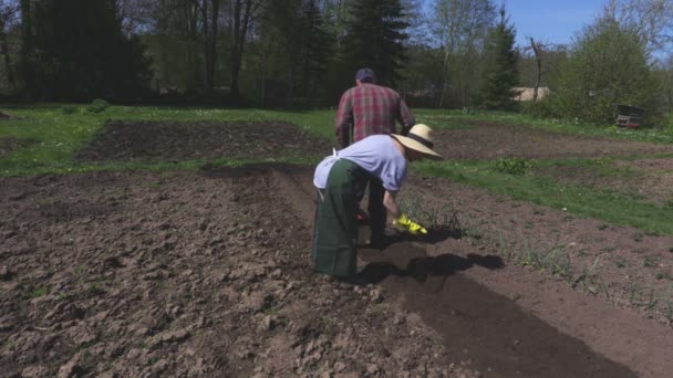 Femme Vérifiant Sol Après Culture — Video