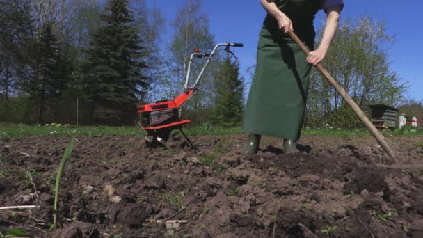 妇女使用耙在领域 — 图库视频影像