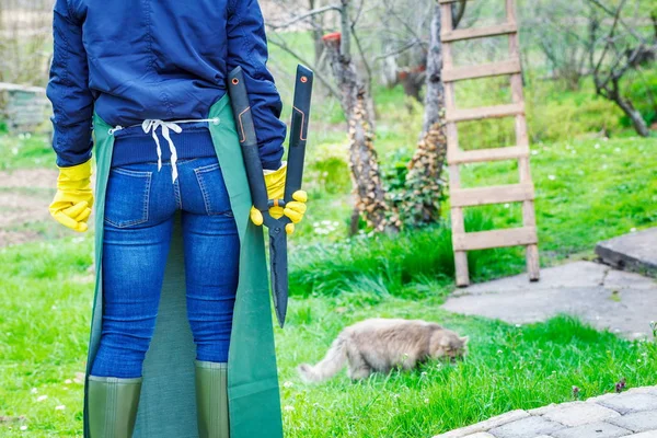 Donna Giardiniere Vicino Melo Concetto Agricoltura Giardinaggio — Foto Stock