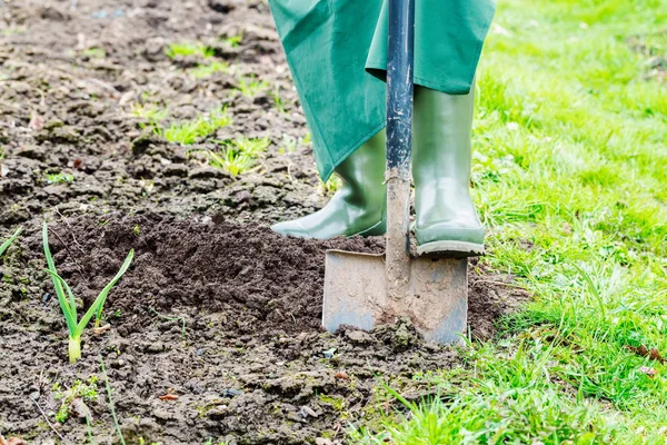 Vrouw Met Spade Bodem Graven — Stockfoto