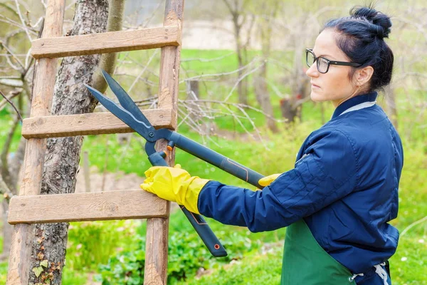 Tuinman Met Snoeischaren Buurt Van Appelboom — Stockfoto