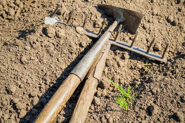 Mattock Râteau Sur Sol — Photo