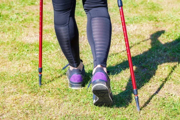 Kadınla çimenlerin üzerinde kutup kuzey yürüyüşü