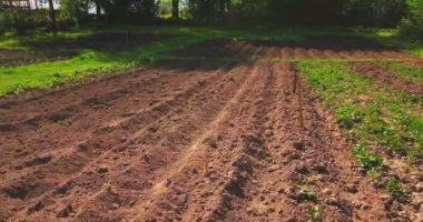 Kamera, yan bahçe gider