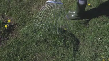 Kadınla çimenlerin toplama bir komisyon