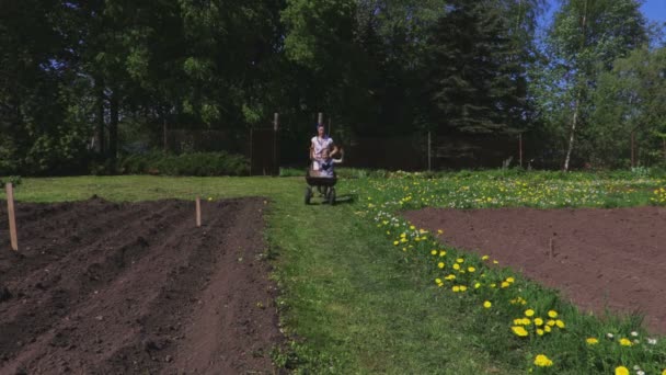 Moeder Draagt Dochter Met Een Kruiwagen — Stockvideo