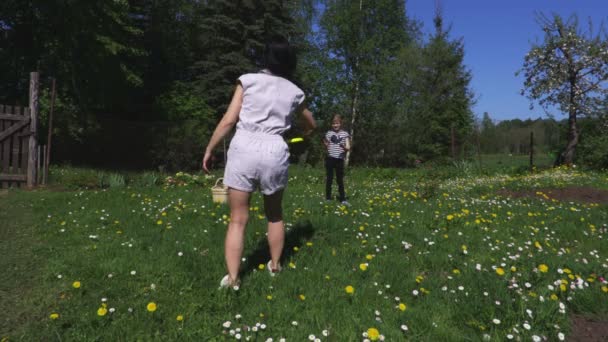 Family Flying Disc Meadow — Stock Video