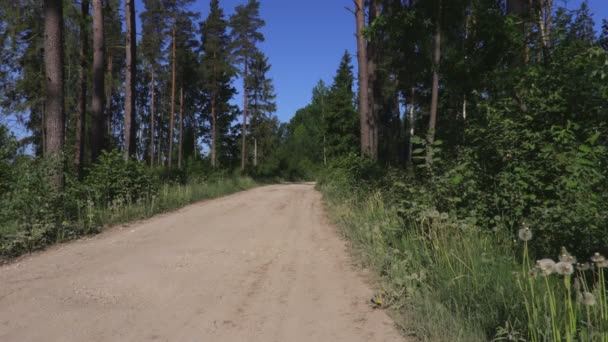 妇女徒步旅行者与背包和北欧波兰人走在森林路 — 图库视频影像