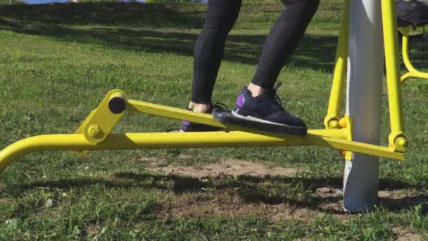 公園ステッパー トレーニング マシンを用いた女性 — ストック動画