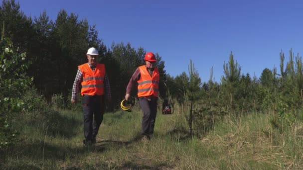 Skogshuggare Skogsväg — Stockvideo