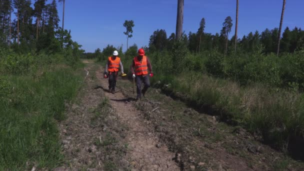 Cansados Madereros Caminando Por Carretera Forestal — Vídeos de Stock
