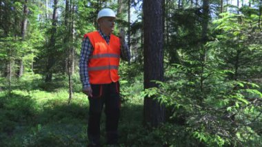 Logger yakınındaki ormanda