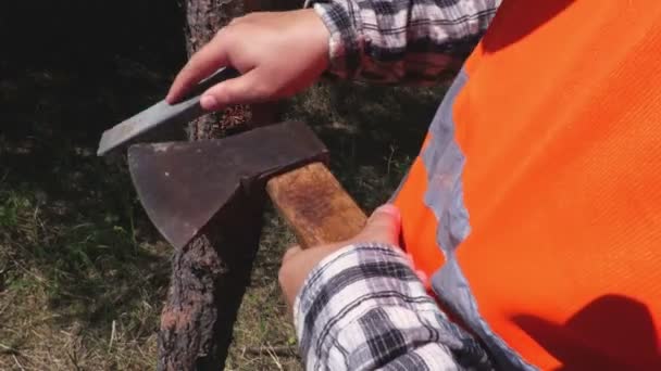 Forest Worker Skärpning Närbild — Stockvideo