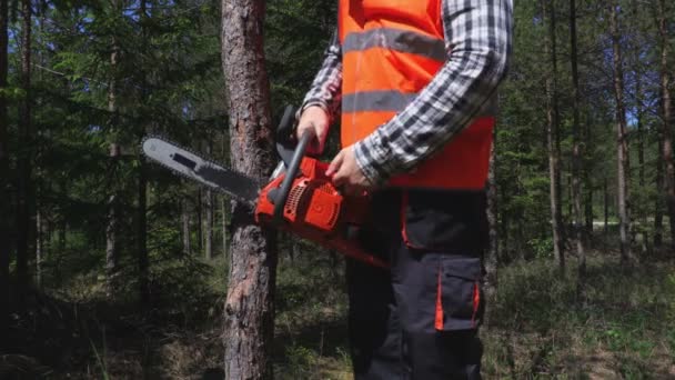 Logger Försöker Starta Motorsågen — Stockvideo