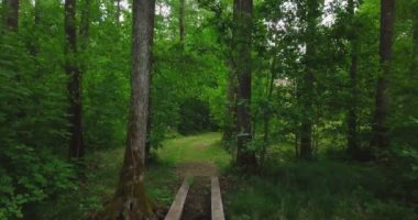 Kamera park yolunda gider