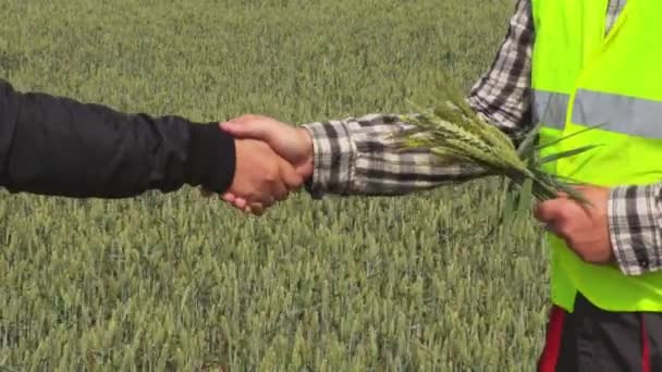 Jordbrukare Som Skakar Hand Spannmål Fält — Stockvideo