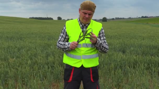 Tablet Yağmurlu Bir Gün Alanında Tahıllar Ile Çiftçi — Stok video