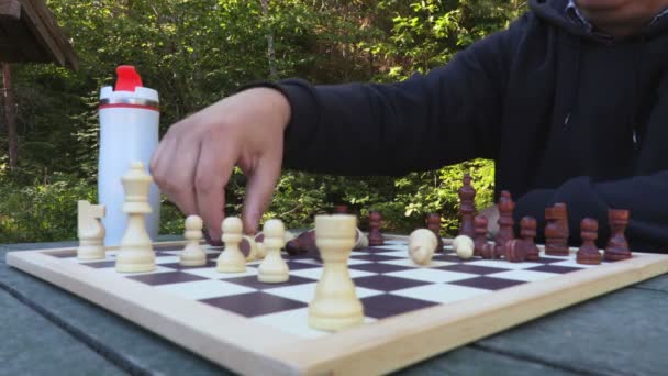 Man Sorteren Chess Cijfers — Stockvideo