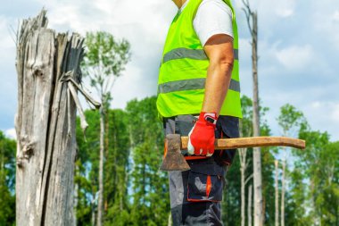 Oduncu balta yaz gün
