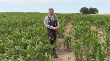 Notlar ve kontrol Mısır alan çiftçi yazıyor