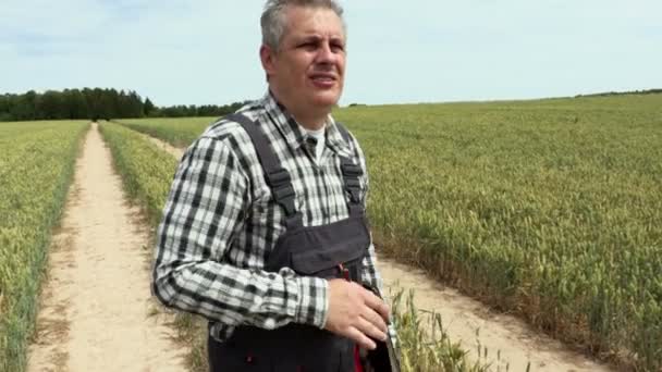 麦畑に農学者が停止 — ストック動画