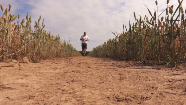 Alan Üzerinde Yorgun Runner — Stok video