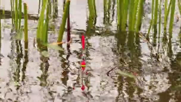 Fishing Rod Float Lake — Stock Video