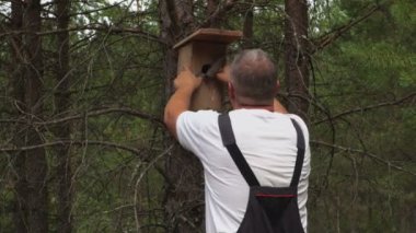 Adam ağaçta kuş kutusunu tamire çalış