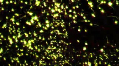 Sarı uçan ışıklar