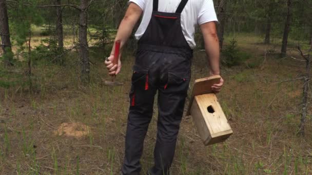 Hombre Con Caja Aves Bosque — Vídeo de stock